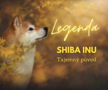 Legenda o původu Shiby Inu - posvátného psa