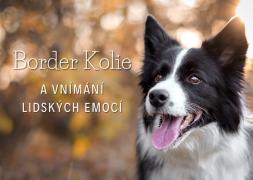 Border kolie a fascinující vnímání lidských emocí