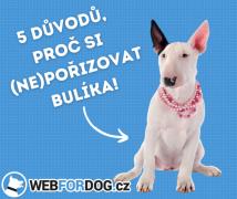 5 důvodů, proč si (NE)pořídit bulíka