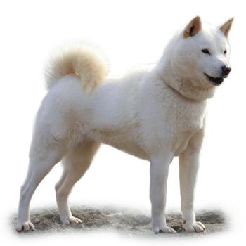 Hokkaido-Ken
