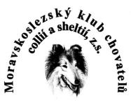 Klubová výstava collií a sheltií