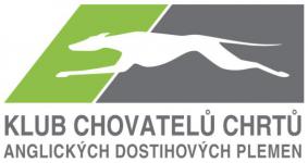 Klubová výstava anglických chrtů