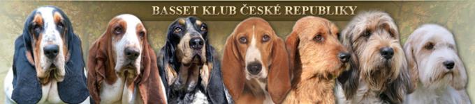 Klubová výstava bassetů