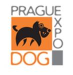 Mezinárodní výstava psů Praha