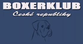 Oblastní výstava boxerů